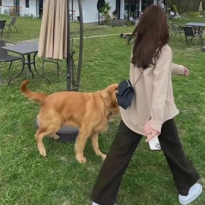 戴金丝边眼镜的人